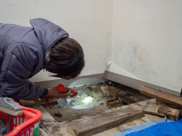 Best Crawl Space Mold Remediation  in Kealakekua, HI