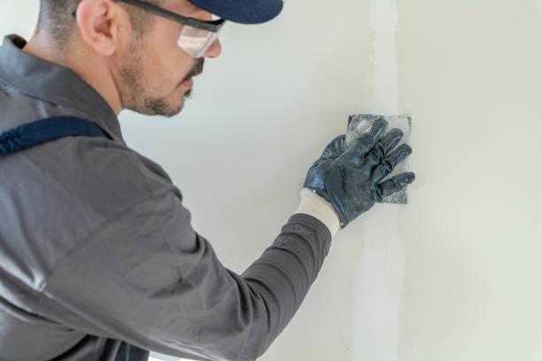 Best Residential Mold Inspection & Testing  in Kealakekua, HI
