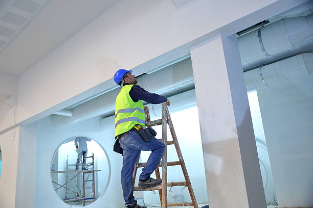 Best Real Estate Mold Inspection  in Kealakekua, HI